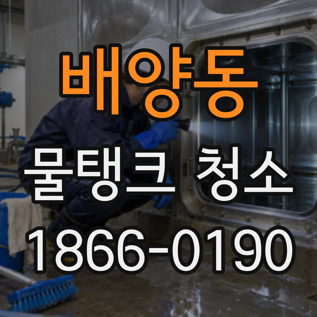 배양동 물탱크 청소