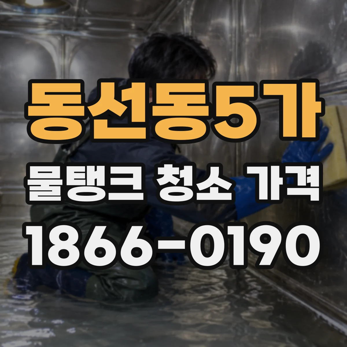 동선동5가 물탱크 청소 가격