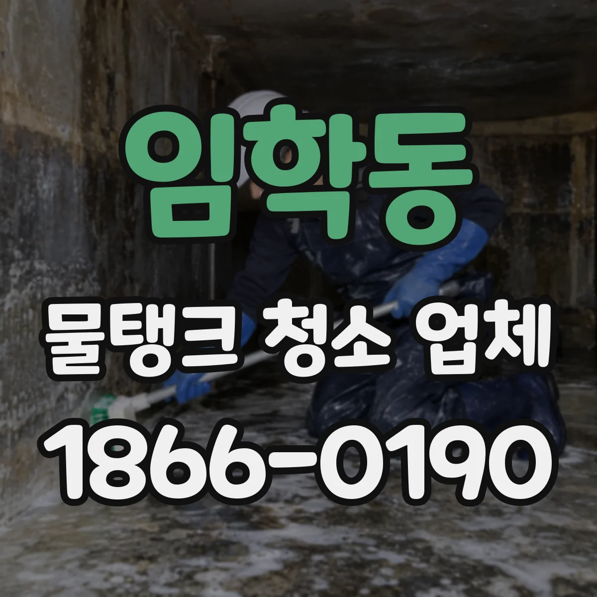 임학동 물탱크 청소 업체