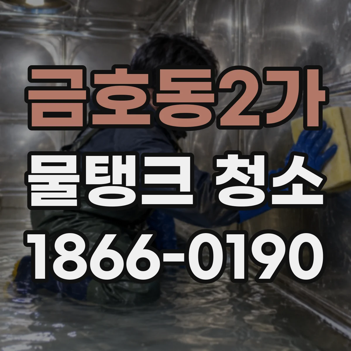 금호동2가 물탱크 청소