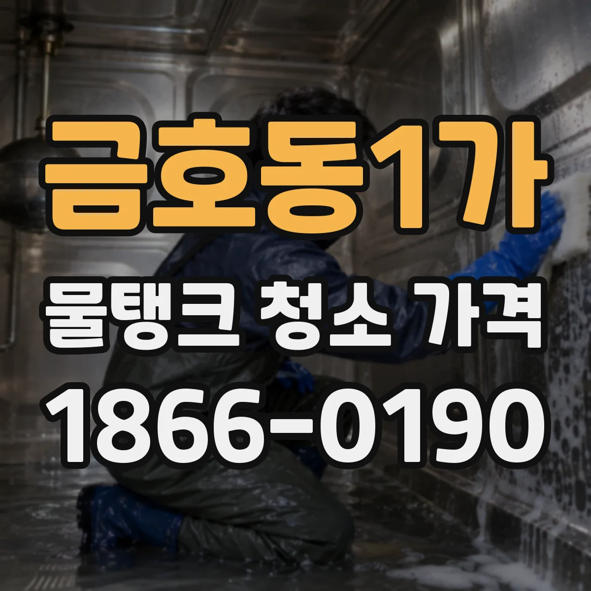 금호동1가 물탱크 청소 가격