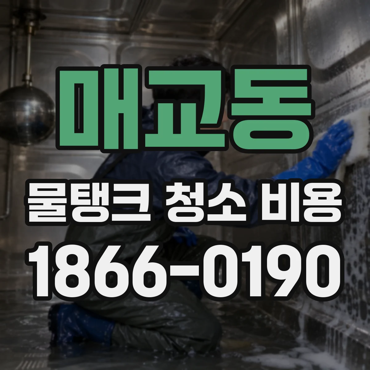 매교동 물탱크 청소 비용