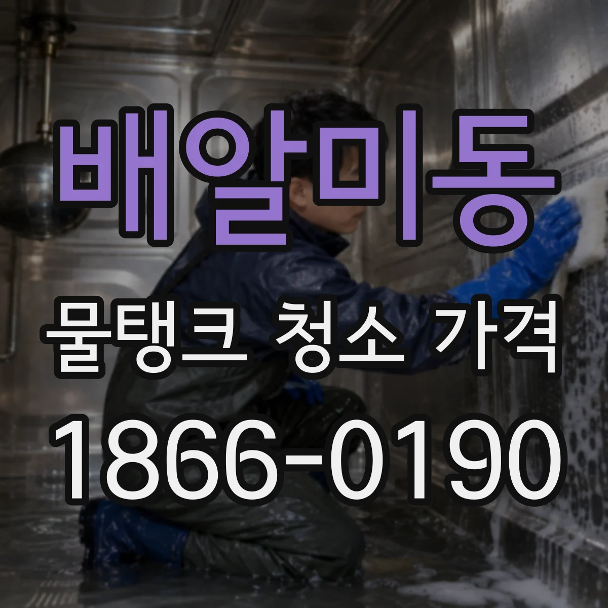 배알미동 물탱크 청소 가격