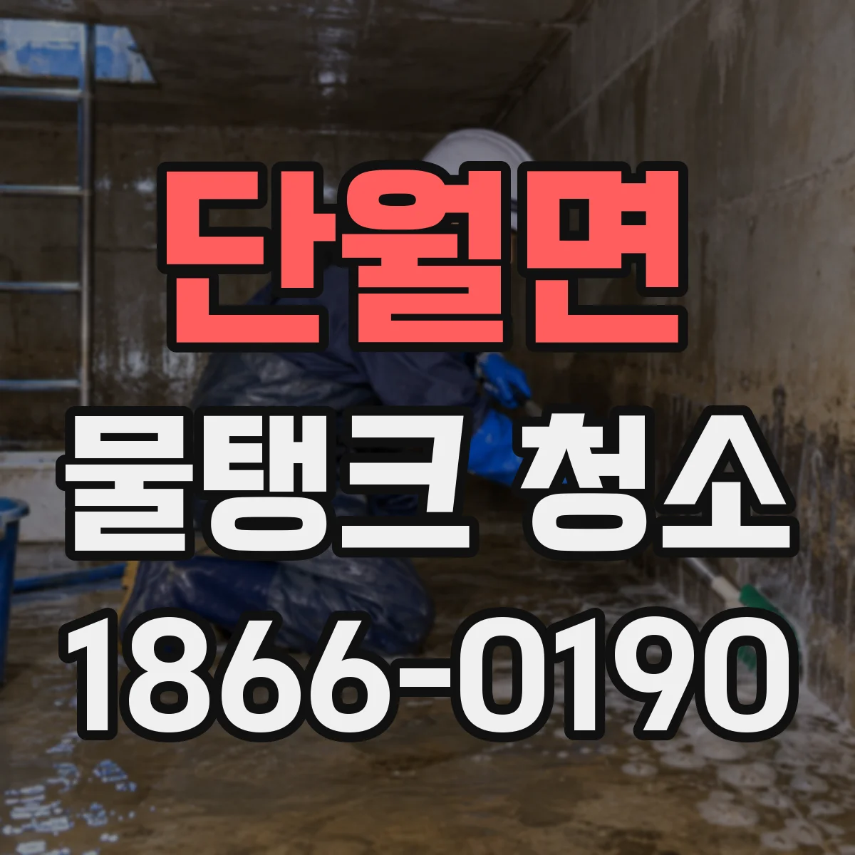 단월면 물탱크 청소