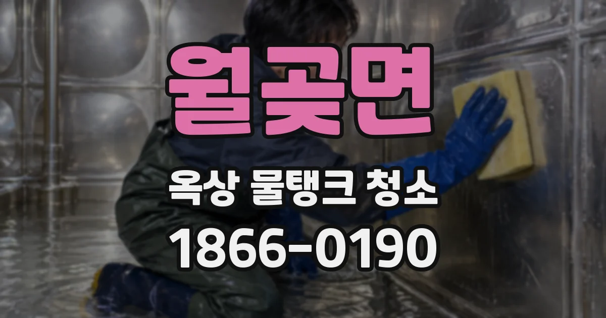 월곶면 옥상 물탱크 청소