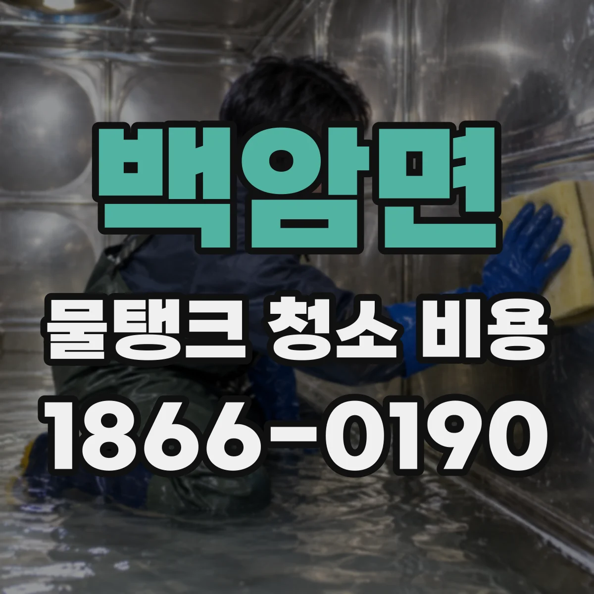 백암면 물탱크 청소 비용