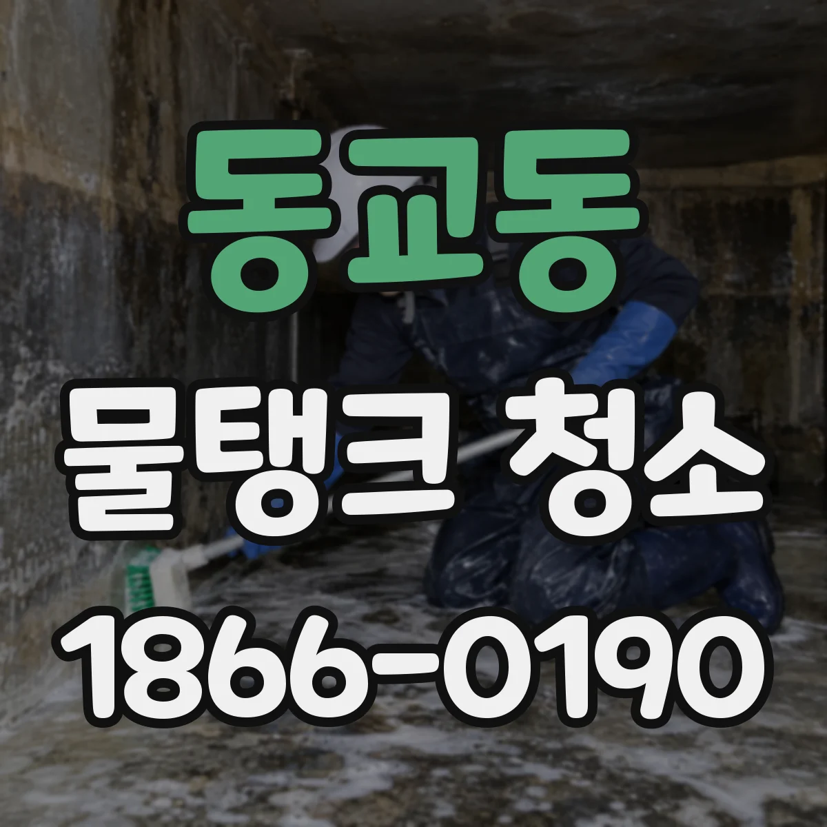 동교동 물탱크 청소