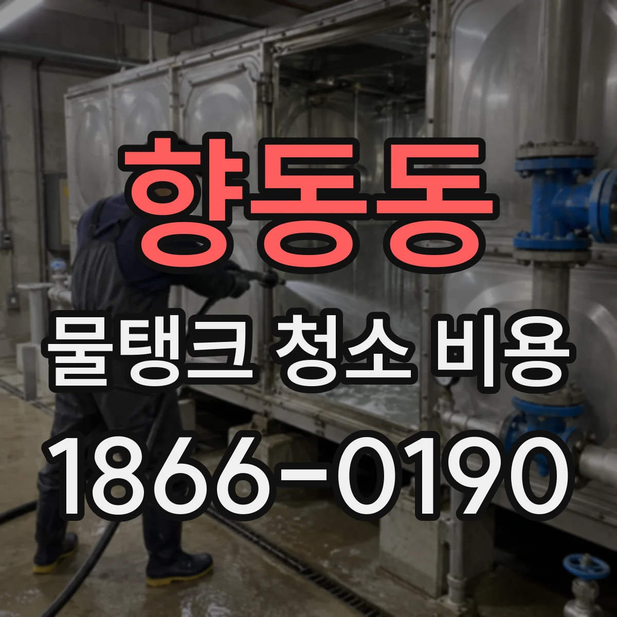 향동동 물탱크 청소 비용