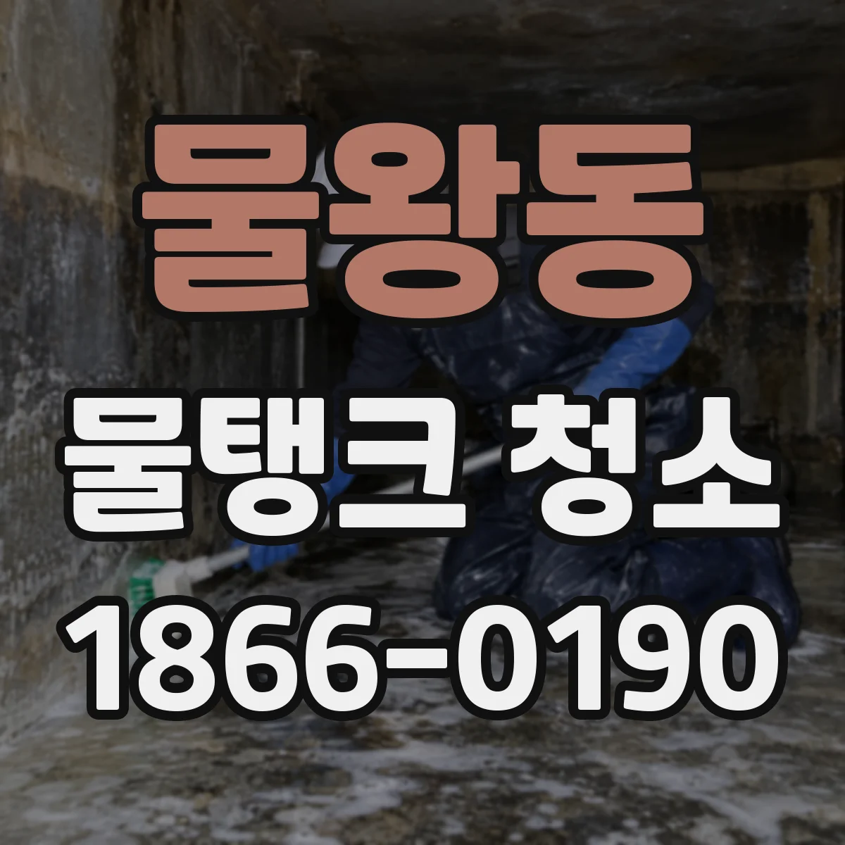물왕동 물탱크 청소