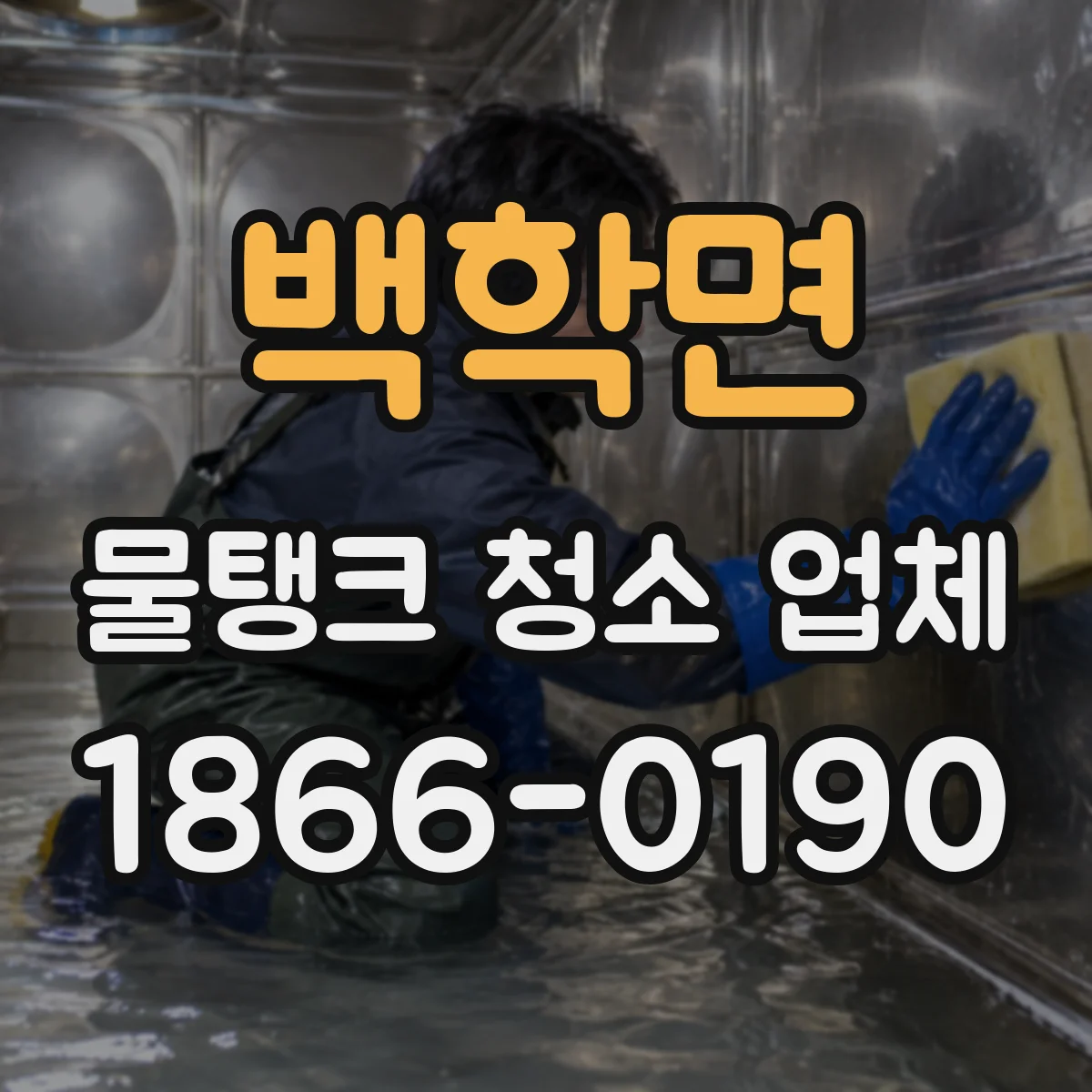 백학면 물탱크 청소 업체