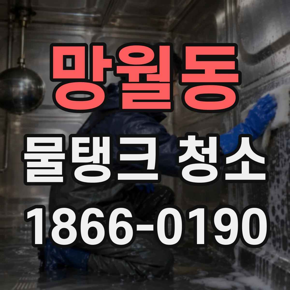 망월동 물탱크 청소