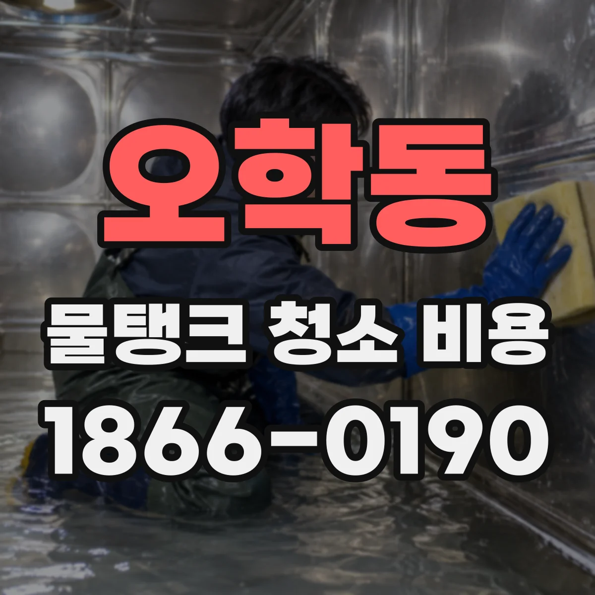 오학동 물탱크 청소 비용