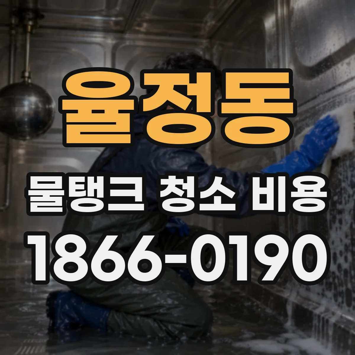 율정동 물탱크 청소 비용