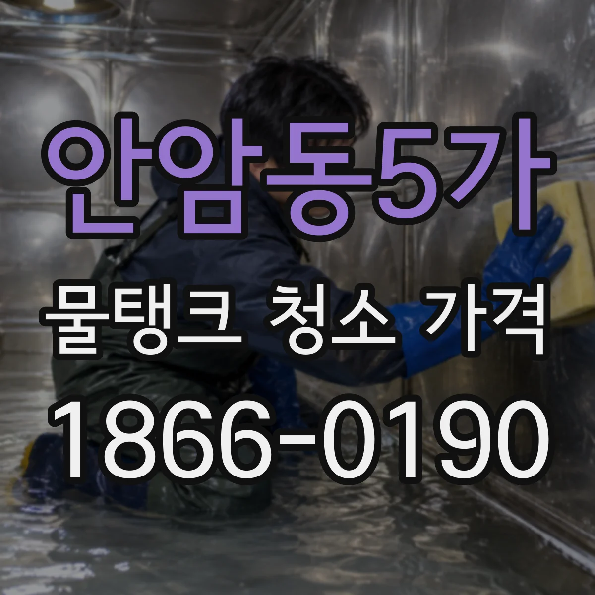 안암동5가 물탱크 청소 가격