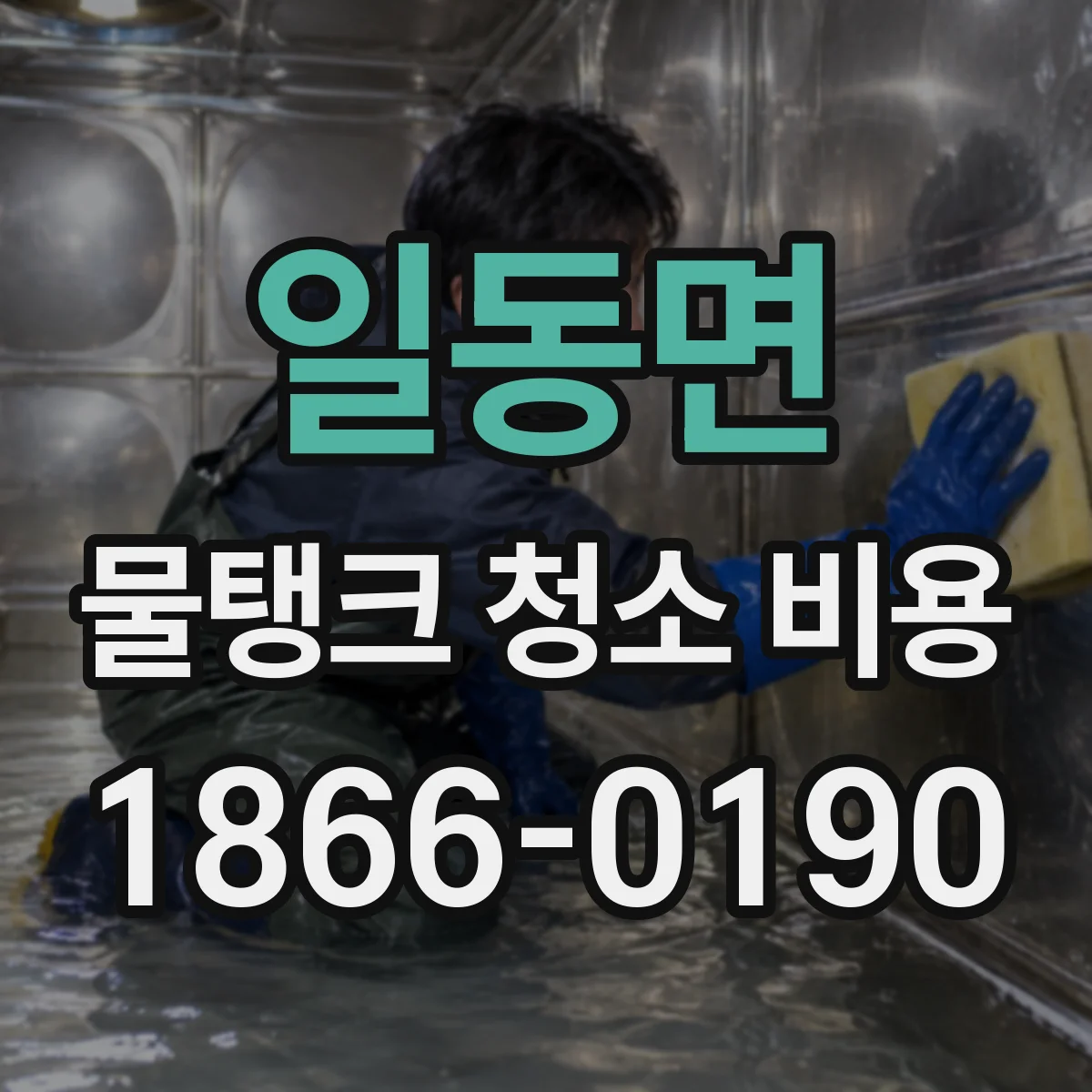 일동면 물탱크 청소 비용