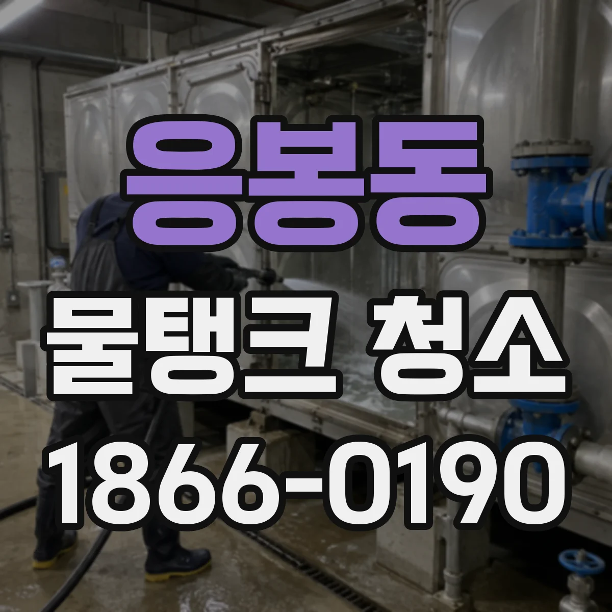 응봉동 물탱크 청소