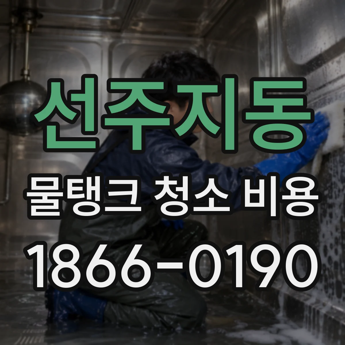 선주지동 물탱크 청소 비용