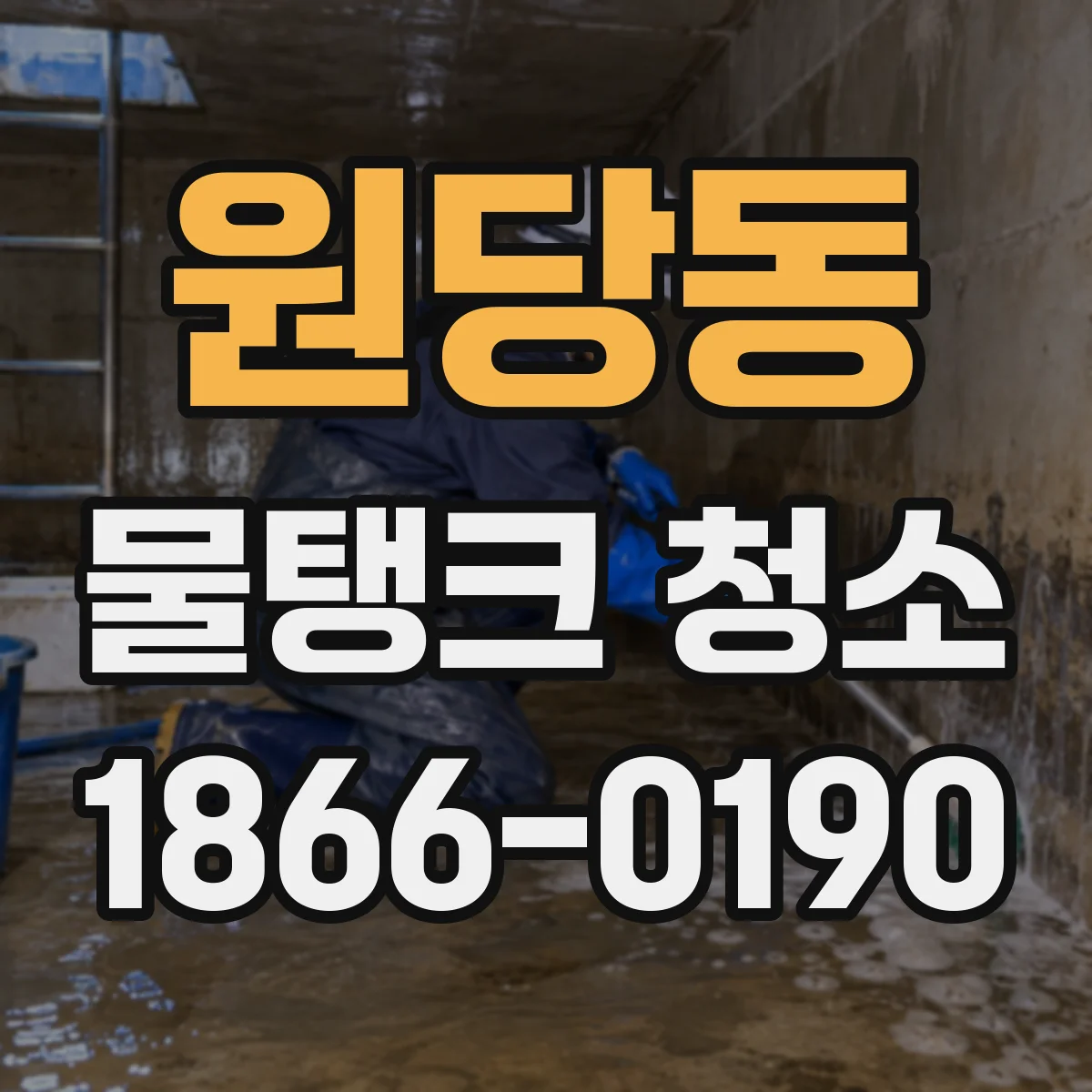 원당동 물탱크 청소