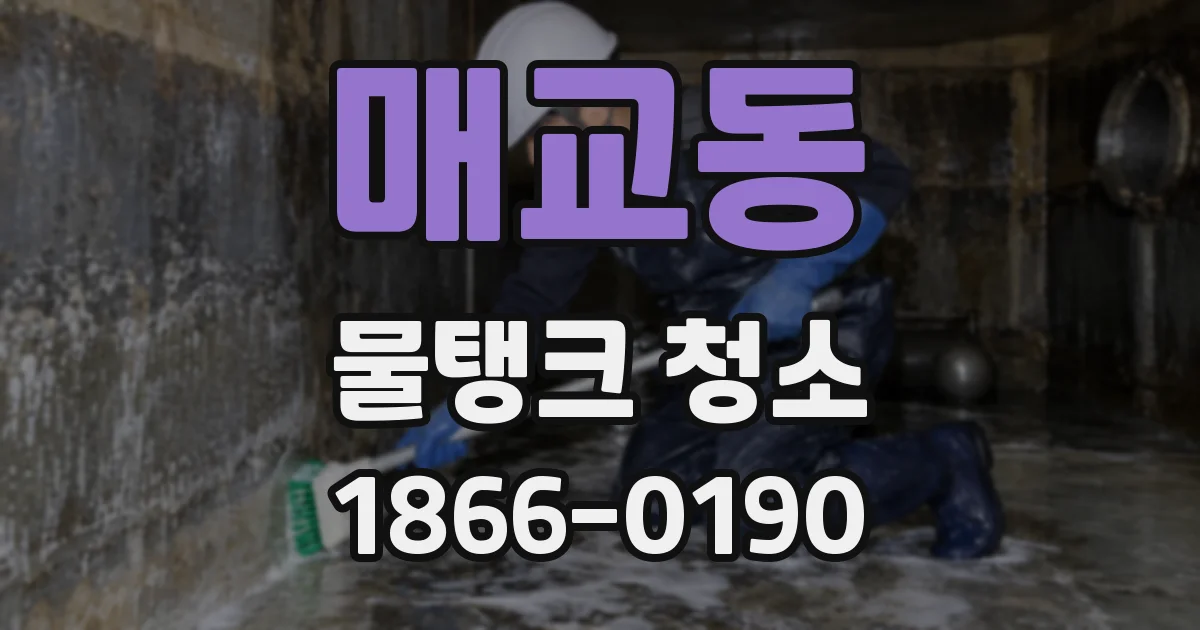 매교동 물탱크 청소
