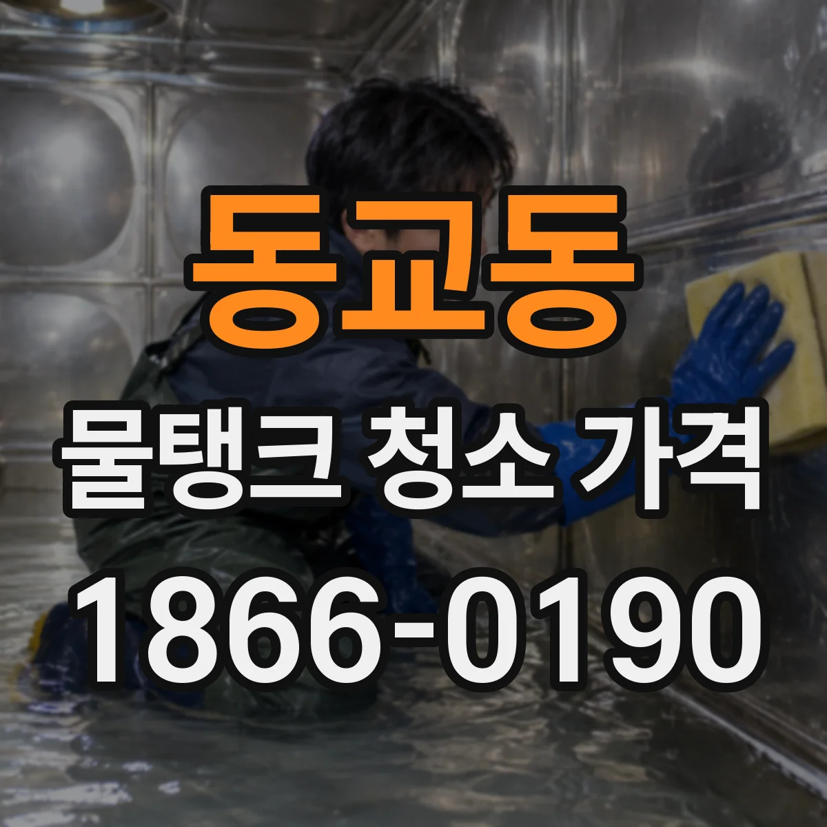 동교동 물탱크 청소 가격