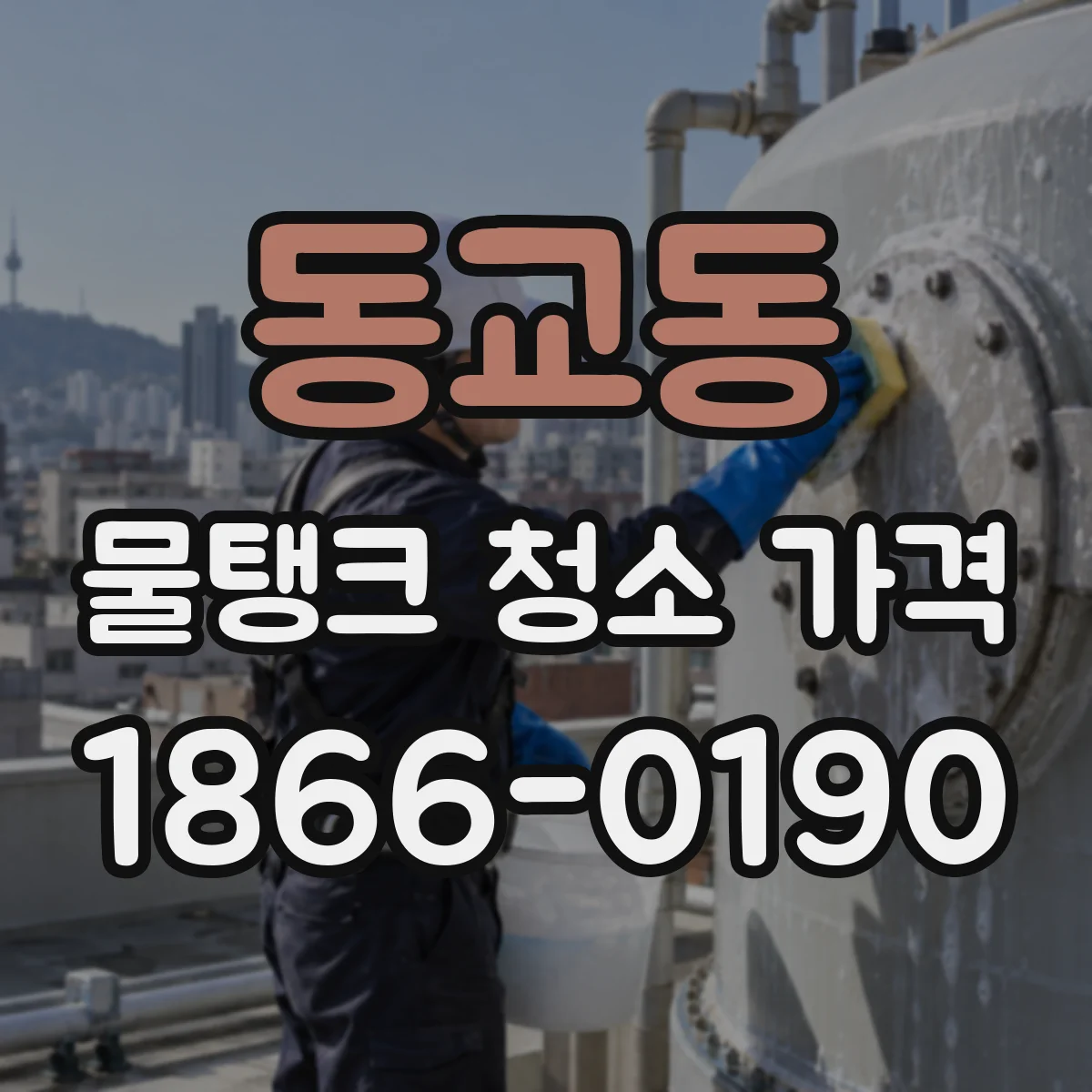 동교동 물탱크 청소 가격