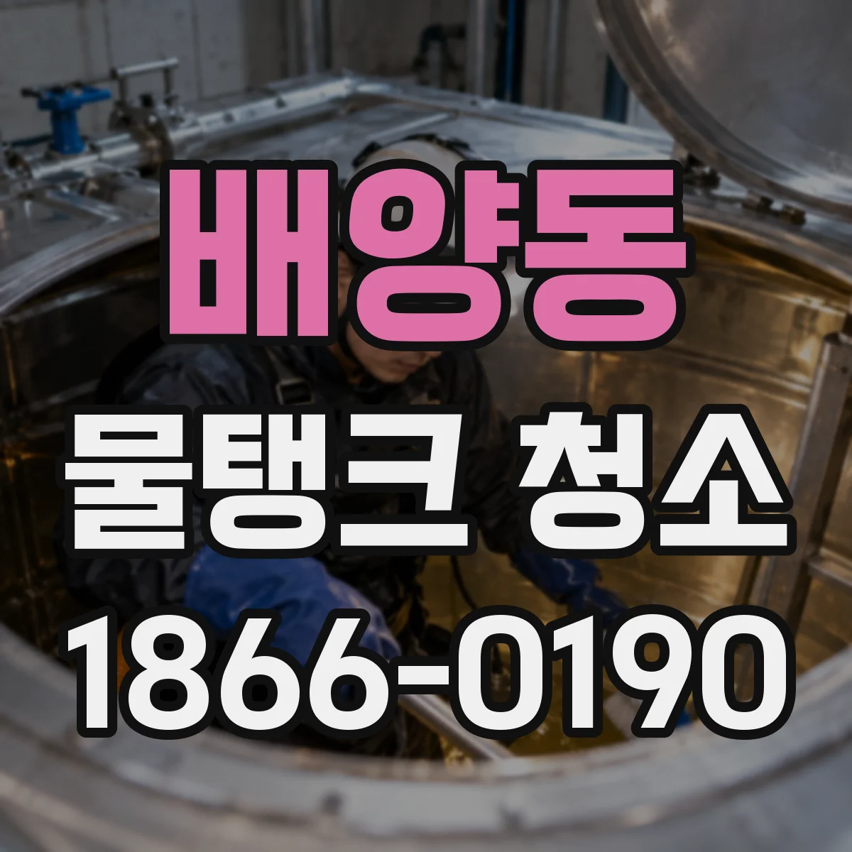 배양동 물탱크 청소