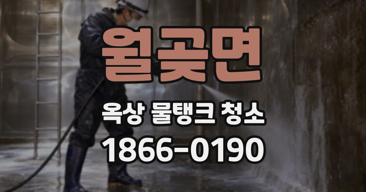 월곶면 옥상 물탱크 청소