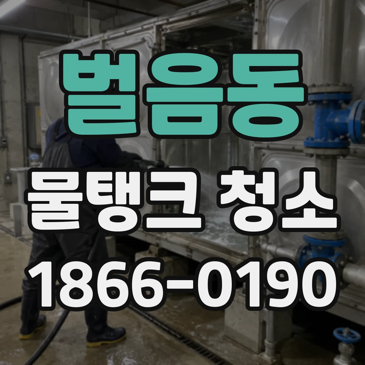 벌음동 물탱크 청소