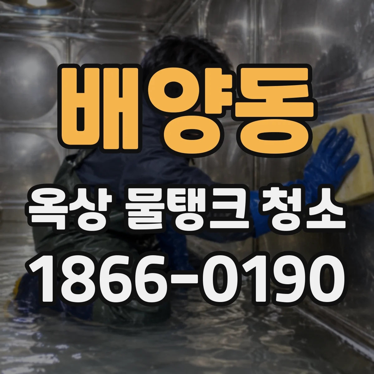 배양동 옥상 물탱크 청소