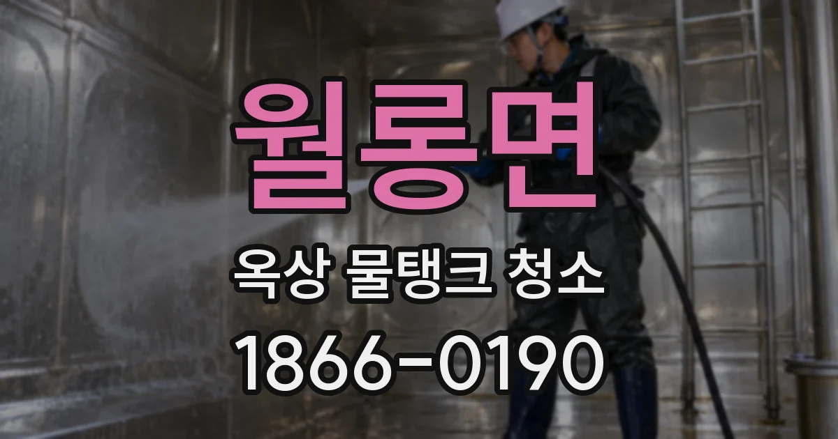 월롱면 옥상 물탱크 청소