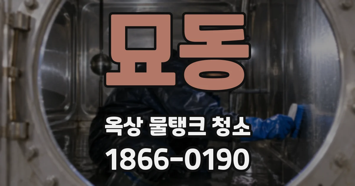 묘동 옥상 물탱크 청소