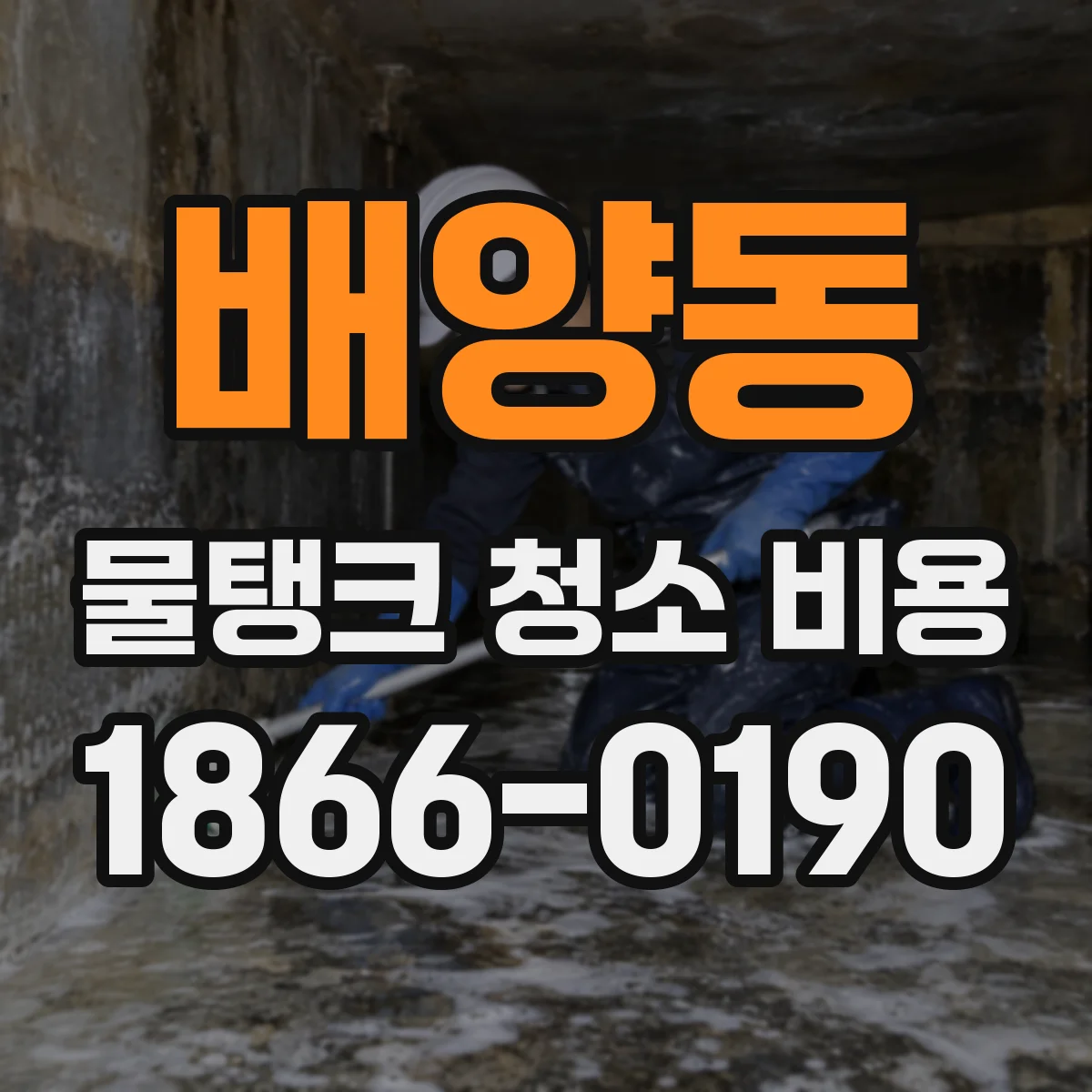 배양동 물탱크 청소 비용