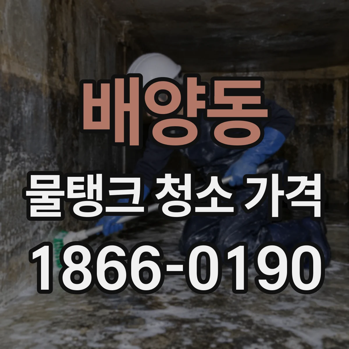 배양동 물탱크 청소 가격