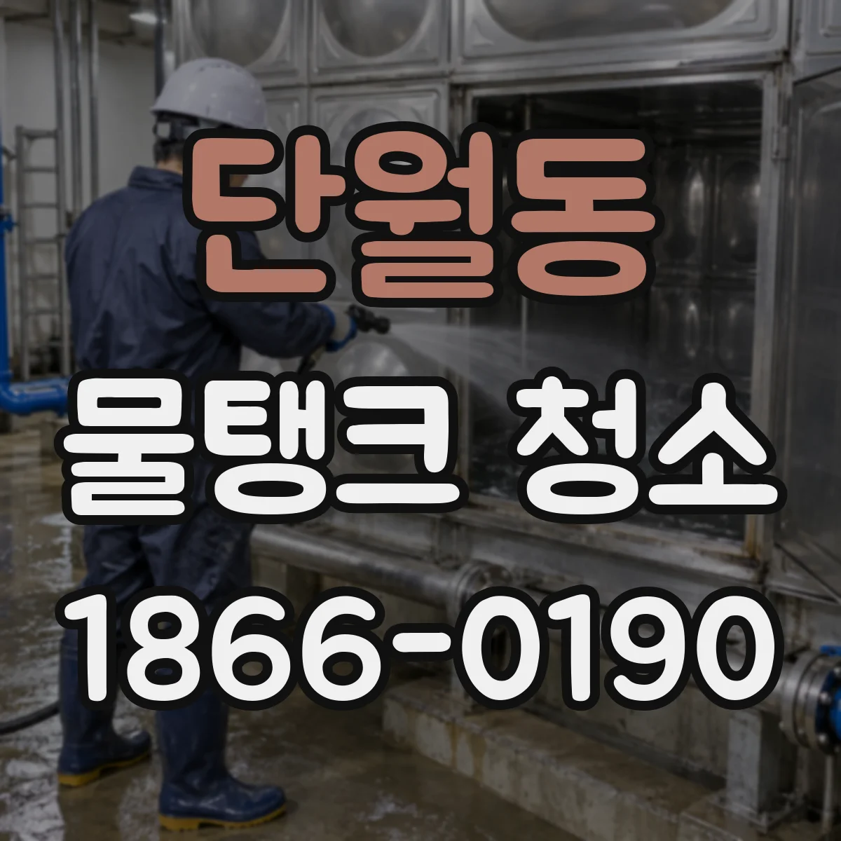 단월동 물탱크 청소