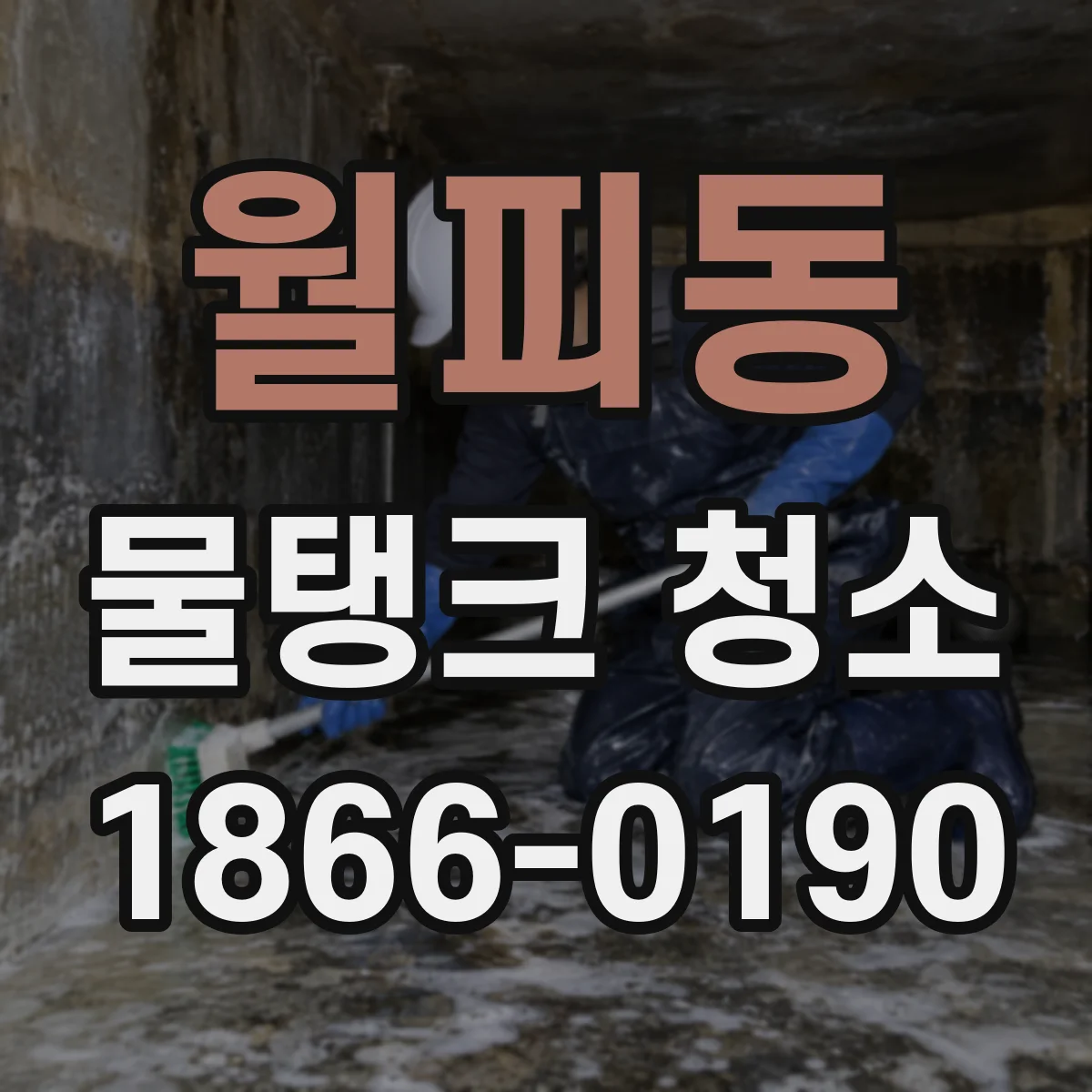 월피동 물탱크 청소