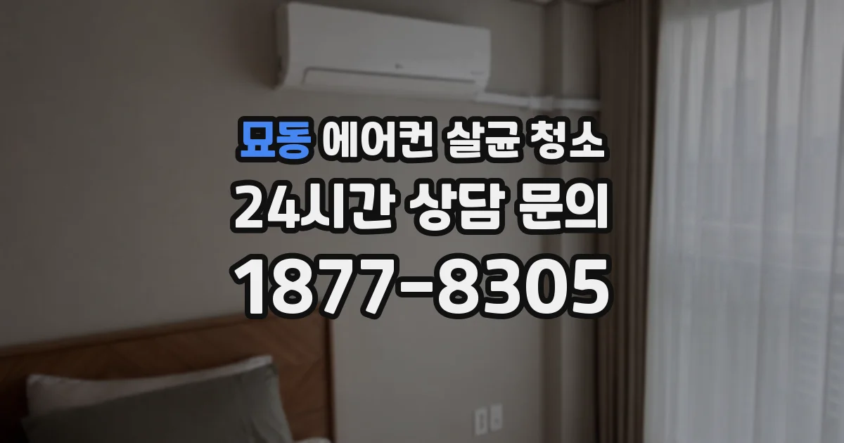 묘동 에어컨 살균 청소