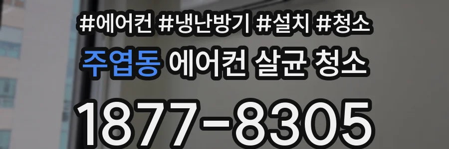 주엽동 에어컨 살균 청소