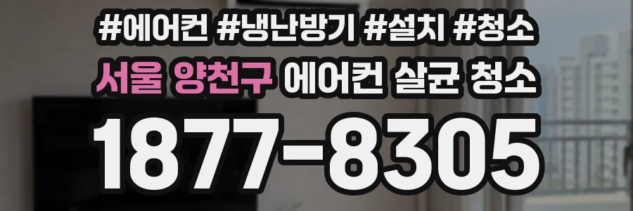서울 양천구 에어컨 살균 청소