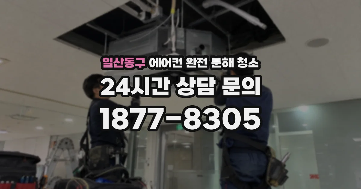 일산동구 에어컨 완전 분해 청소