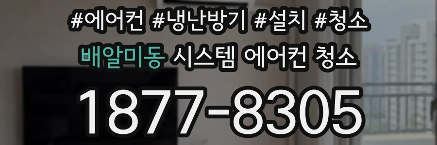 배알미동 시스템 에어컨 청소