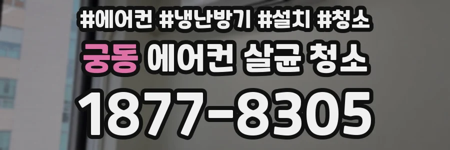 궁동 에어컨 살균 청소