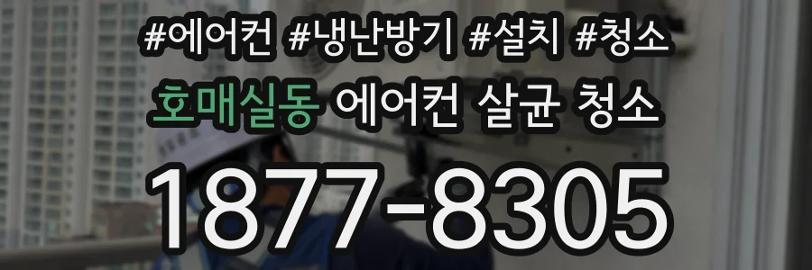 호매실동 에어컨 살균 청소