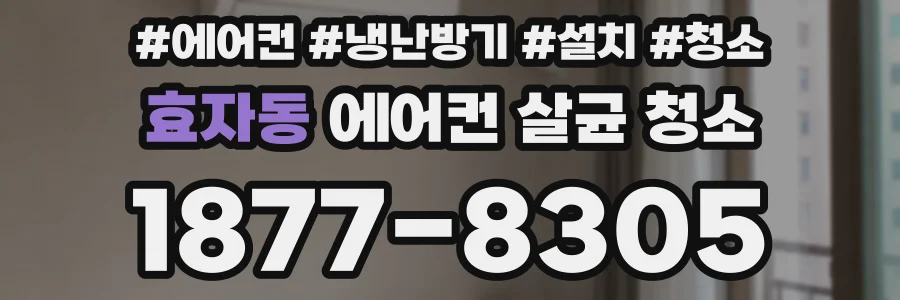 효자동 에어컨 살균 청소