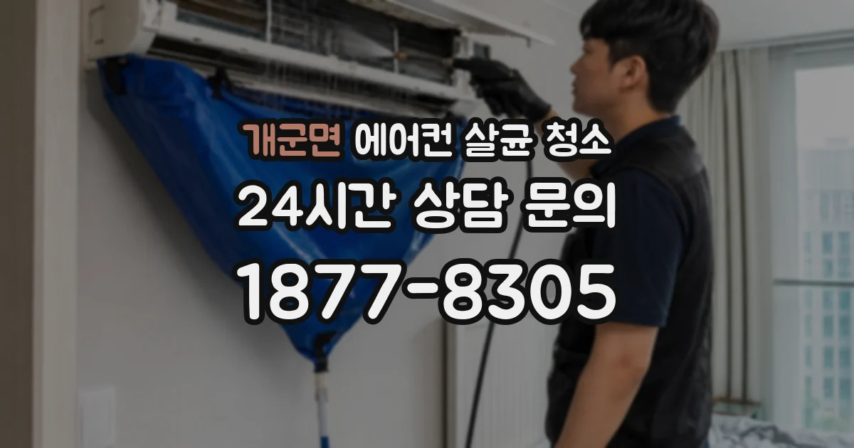 개군면 에어컨 살균 청소