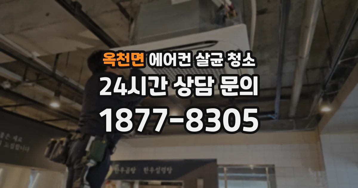 옥천면 에어컨 살균 청소