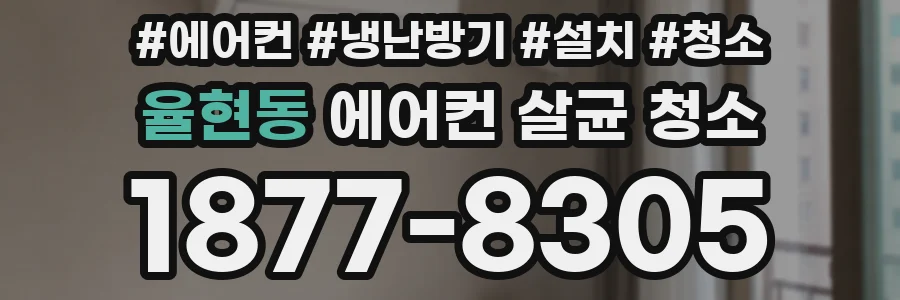 율현동 에어컨 살균 청소