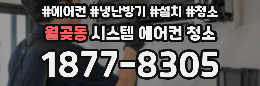 월곶동 시스템 에어컨 청소