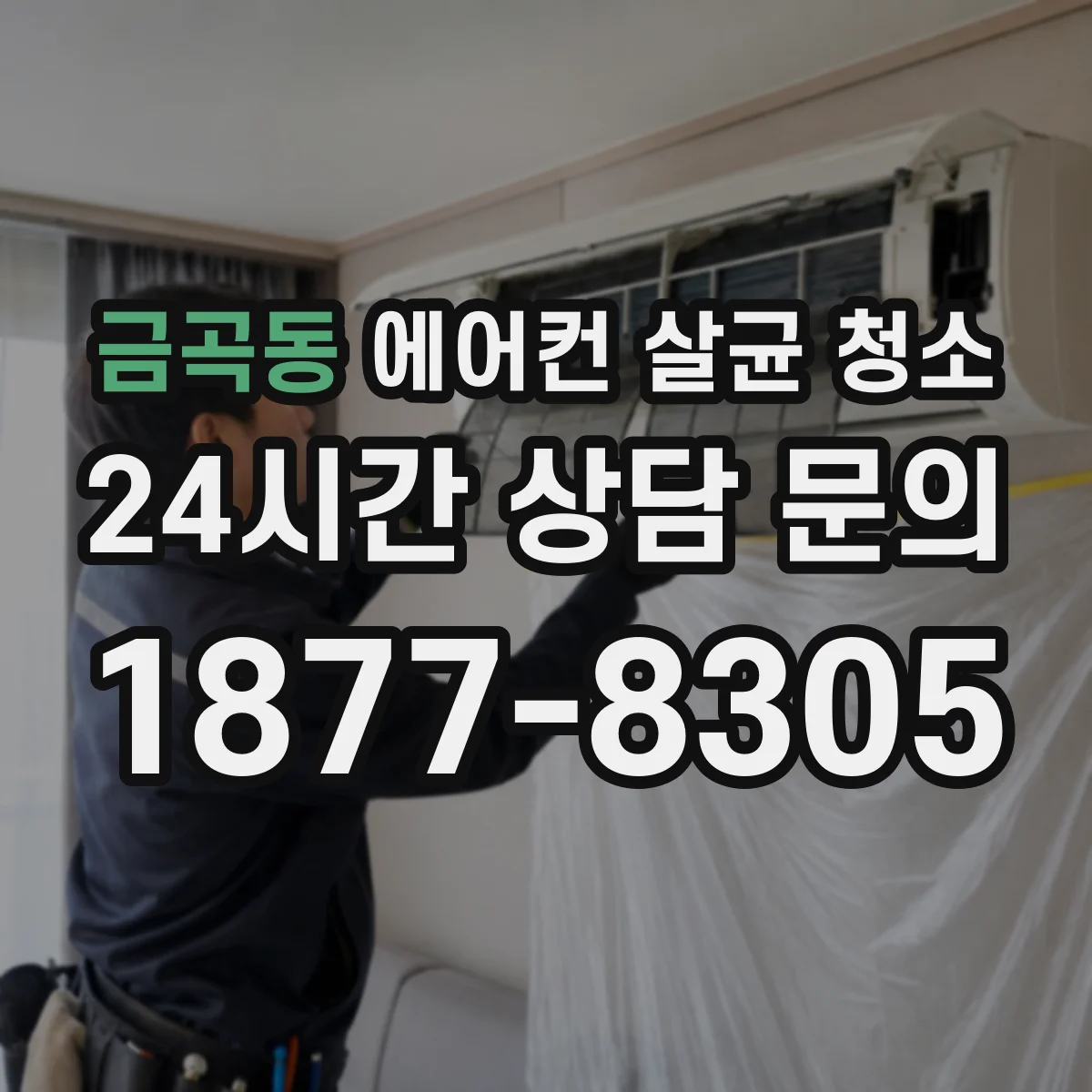 금곡동 에어컨 살균 청소