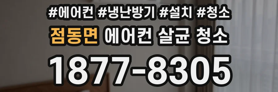 점동면 에어컨 살균 청소