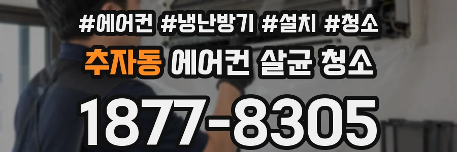 추자동 에어컨 살균 청소